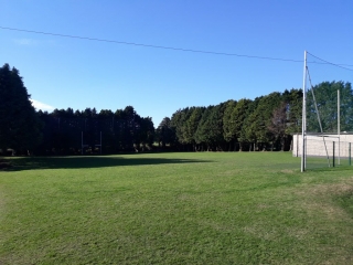 Playing Pitch